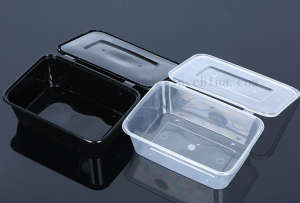 OEM Disposable Eco-Friend Plastic PP Lunch Box Food Container